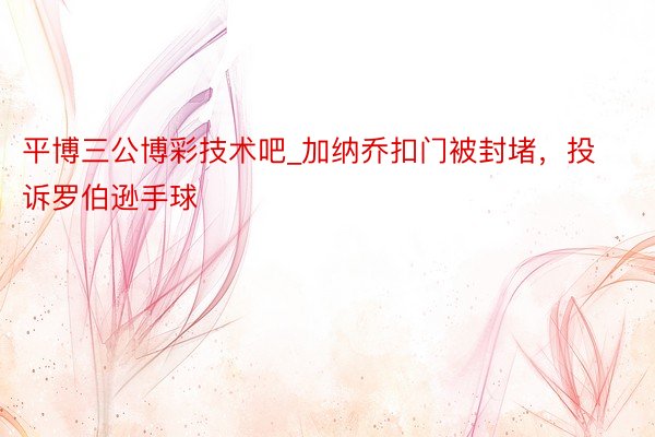 平博三公博彩技术吧_加纳乔扣门被封堵，投诉罗伯逊手球