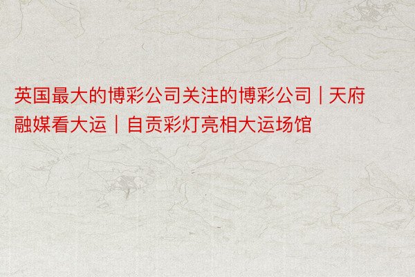 英国最大的博彩公司关注的博彩公司 | 天府融媒看大运｜自贡彩灯亮相大运场馆