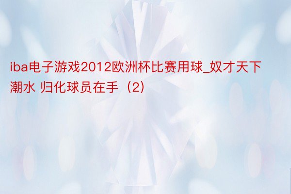 iba电子游戏2012欧洲杯比赛用球_奴才天下潮水 归化球员在手（2）