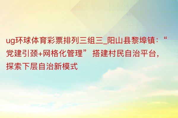 ug环球体育彩票排列三组三_阳山县黎埠镇：“党建引颈+网格化管理”  搭建村民自治平台，探索下层自治新模式