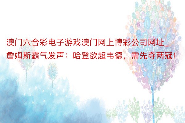 澳门六合彩电子游戏澳门网上博彩公司网址_詹姆斯霸气发声：哈登欲超韦德，需先夺两冠！