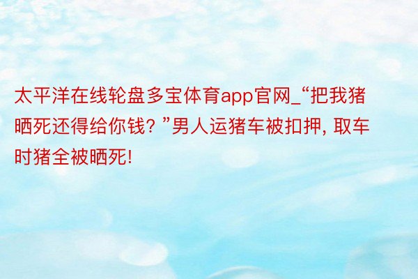 太平洋在线轮盘多宝体育app官网_“把我猪晒死还得给你钱? ”男人运猪车被扣押, 取车时猪全被晒死!