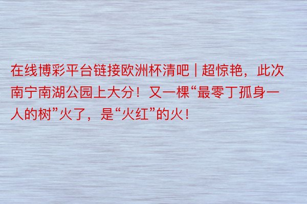 在线博彩平台链接欧洲杯清吧 | 超惊艳，此次南宁南湖公园上大分！又一棵“最零丁孤身一人的树”火了，是“火红”的火！