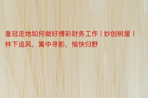 皇冠走地如何做好博彩财务工作 | 妙创树屋丨林下追风，篱中寻影，愉快归野