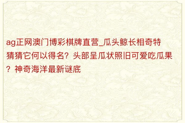 ag正网澳门博彩棋牌直营_瓜头鲸长相奇特猜猜它何以得名？头部呈瓜状照旧可爱吃瓜果？神奇海洋最新谜底